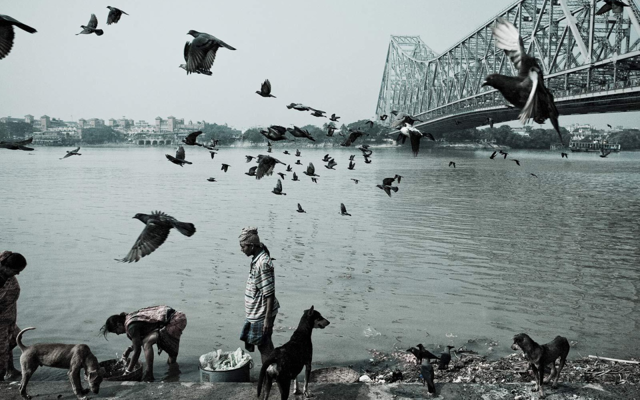 Жизнь людей и животных