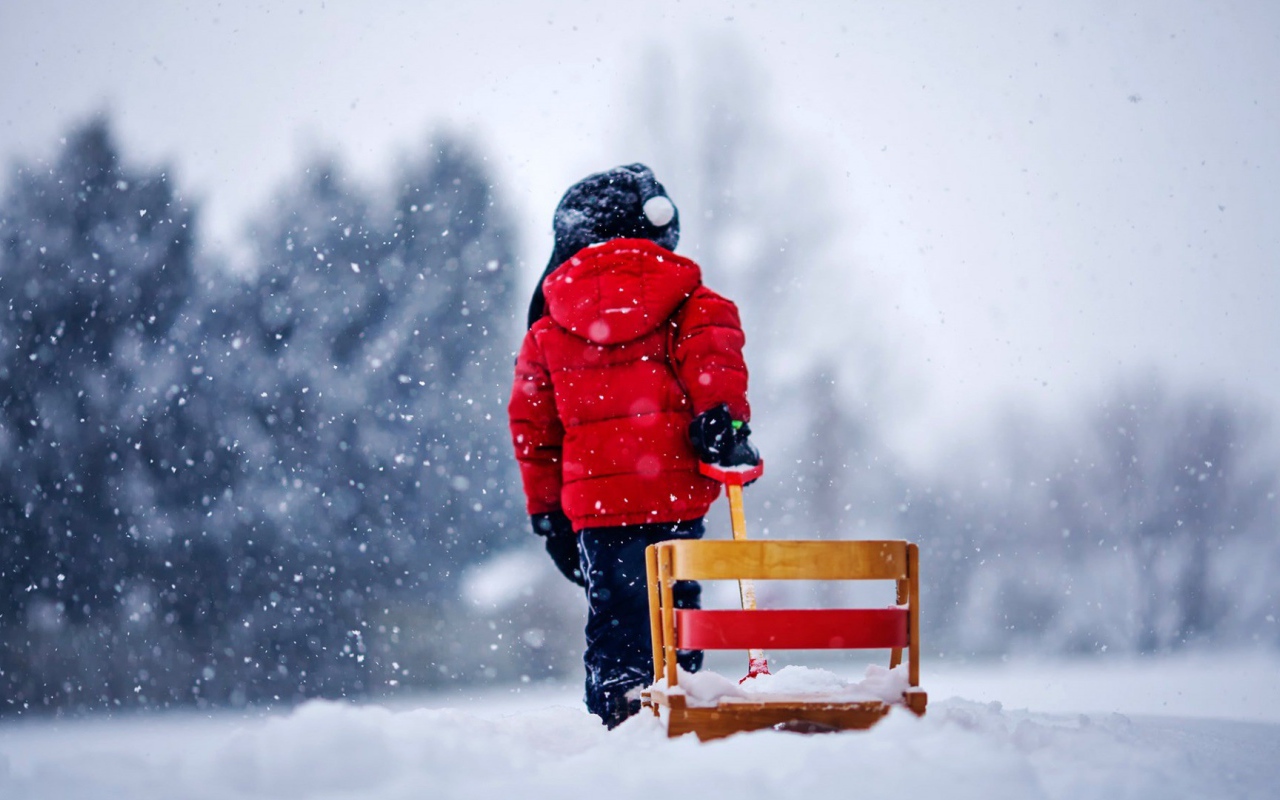 Ребенок везет санки