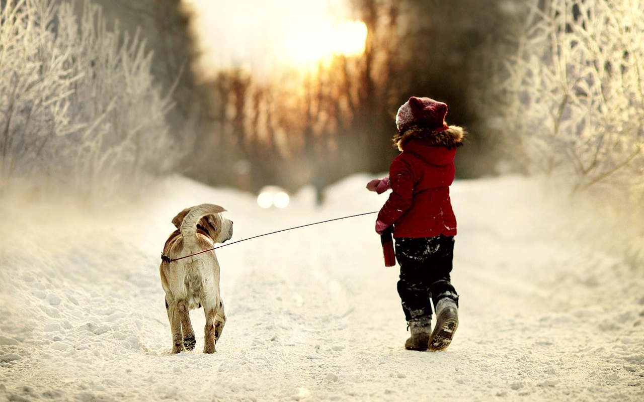 Девочка ведет собаку на поводке на прогулку