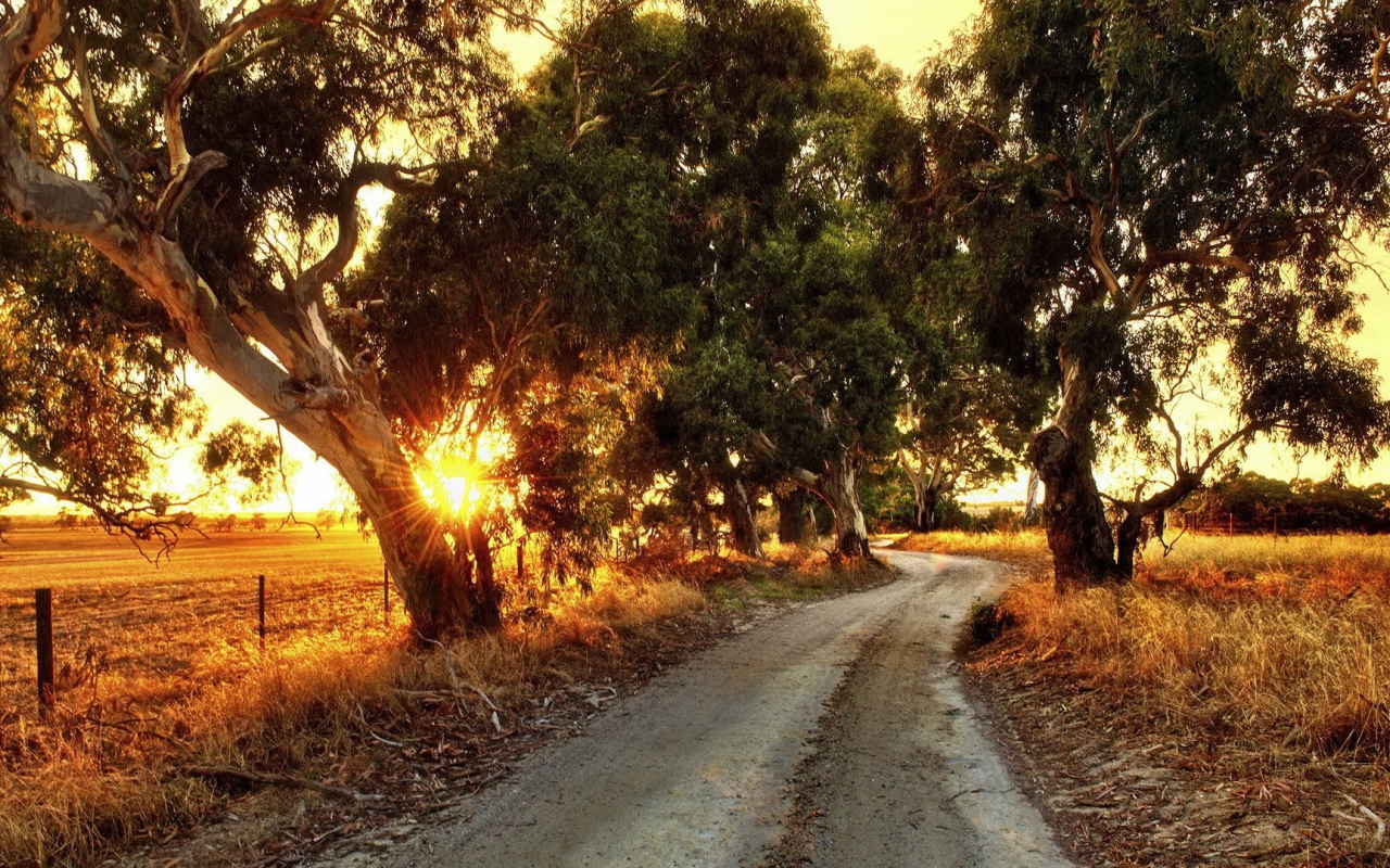 Сельская дорога в Австралии