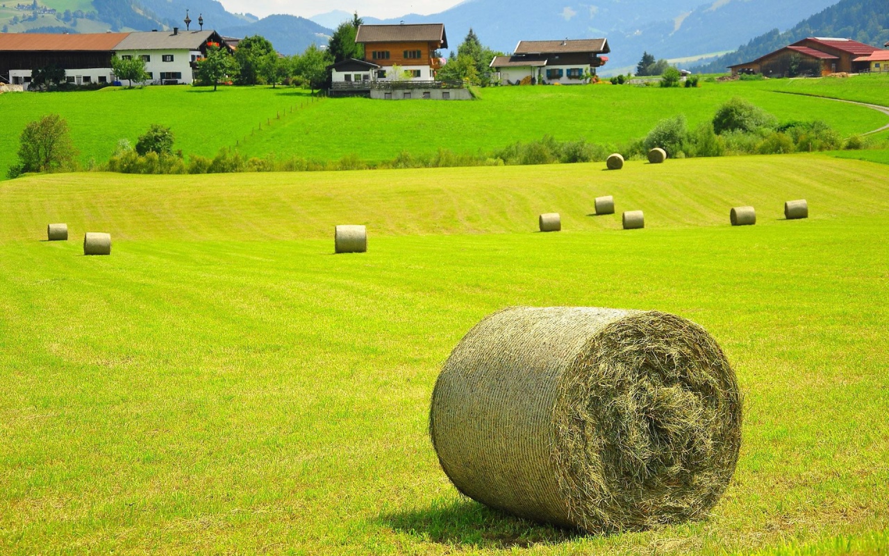 Тюки сена на поле, Австрия