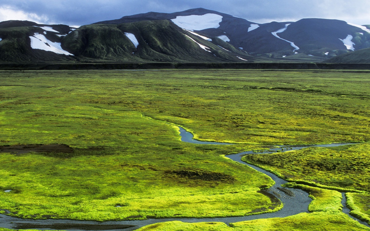 Зеленая равнина в Исландии