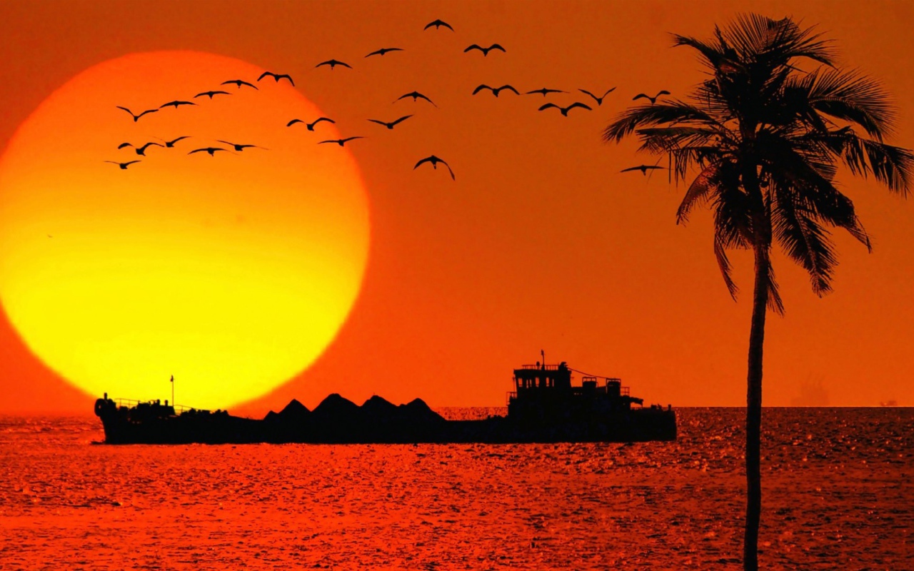 Вечером в Гоа, Индия