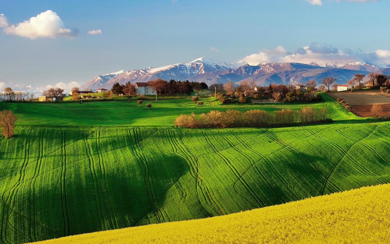 Зеленое поле в Италии