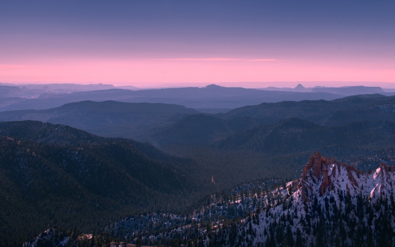 Покрытый лесом каньон Брюса в Юте