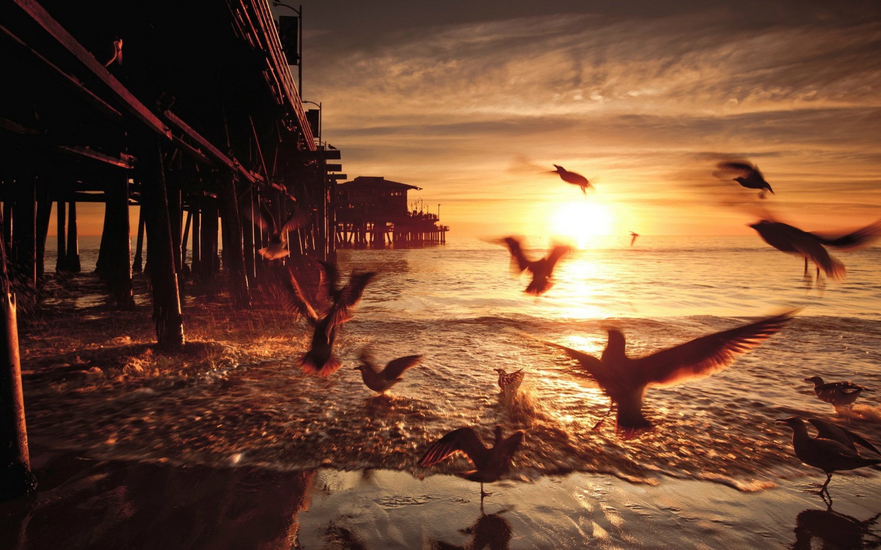 Закат в Санта-Монике. Калифорния, США