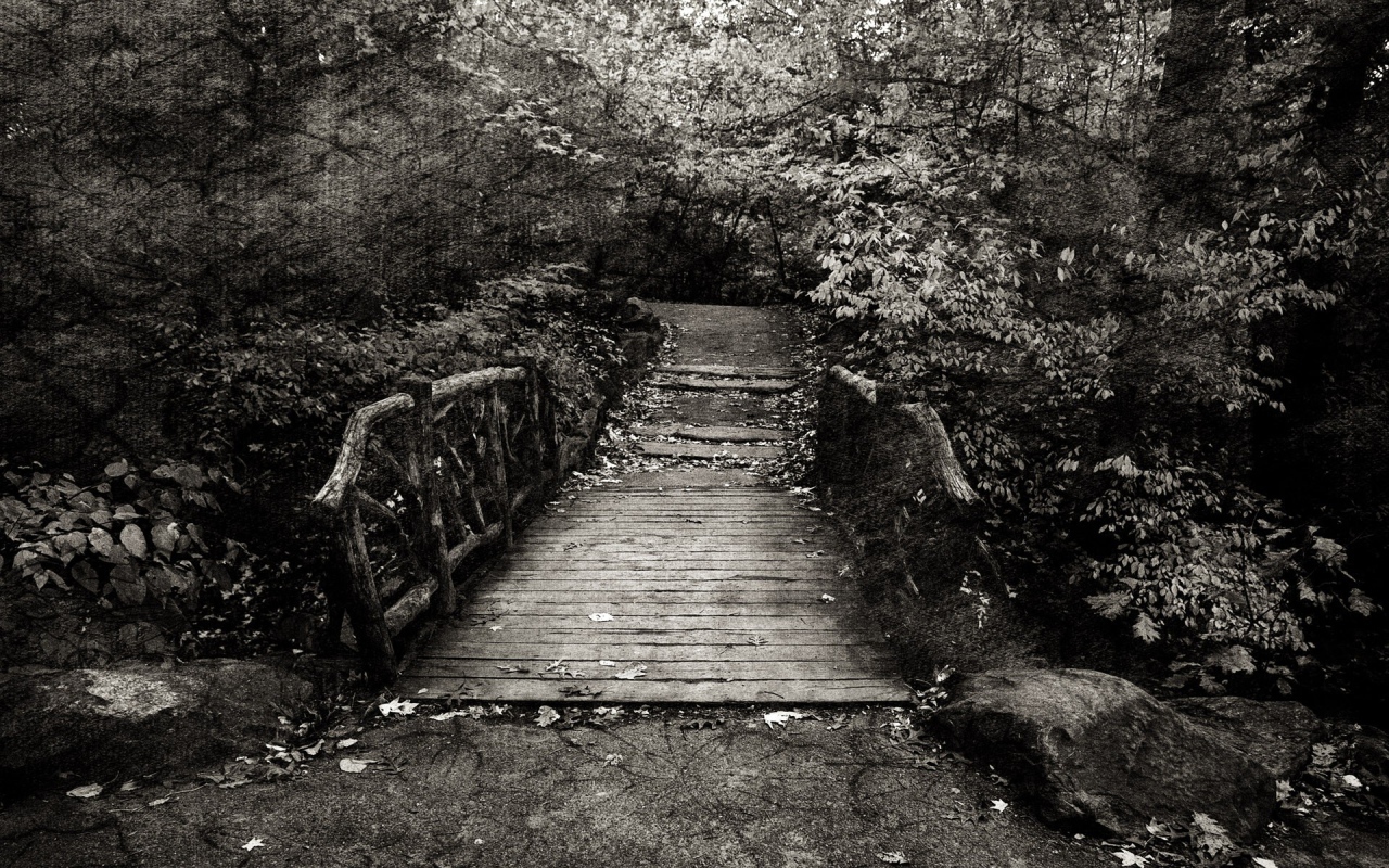 Эффект холста на черно белом фото