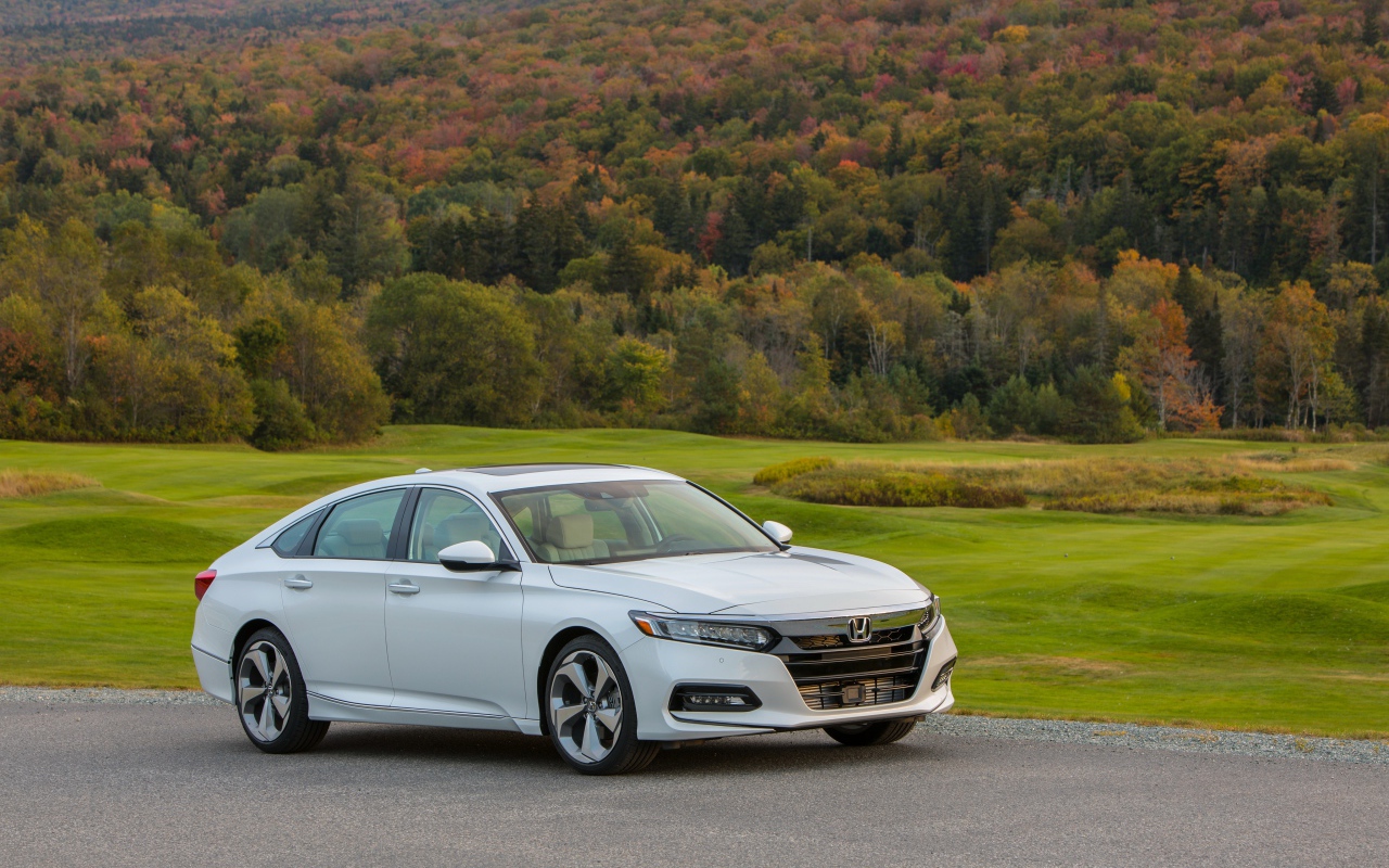 Белый автомобиль Honda Accord на фоне леса