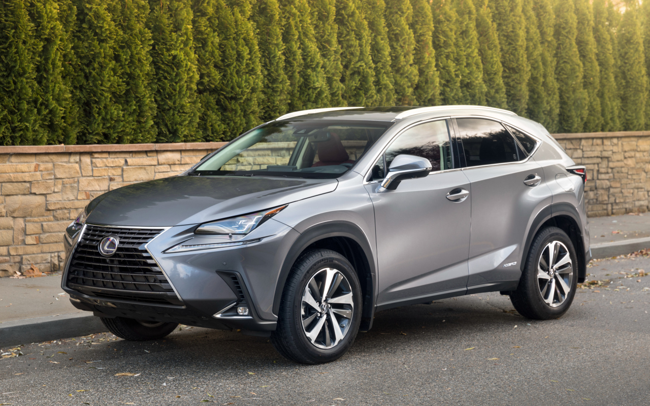 Серебристый внедорожник Lexus NX 300h, 2017 на фоне леса