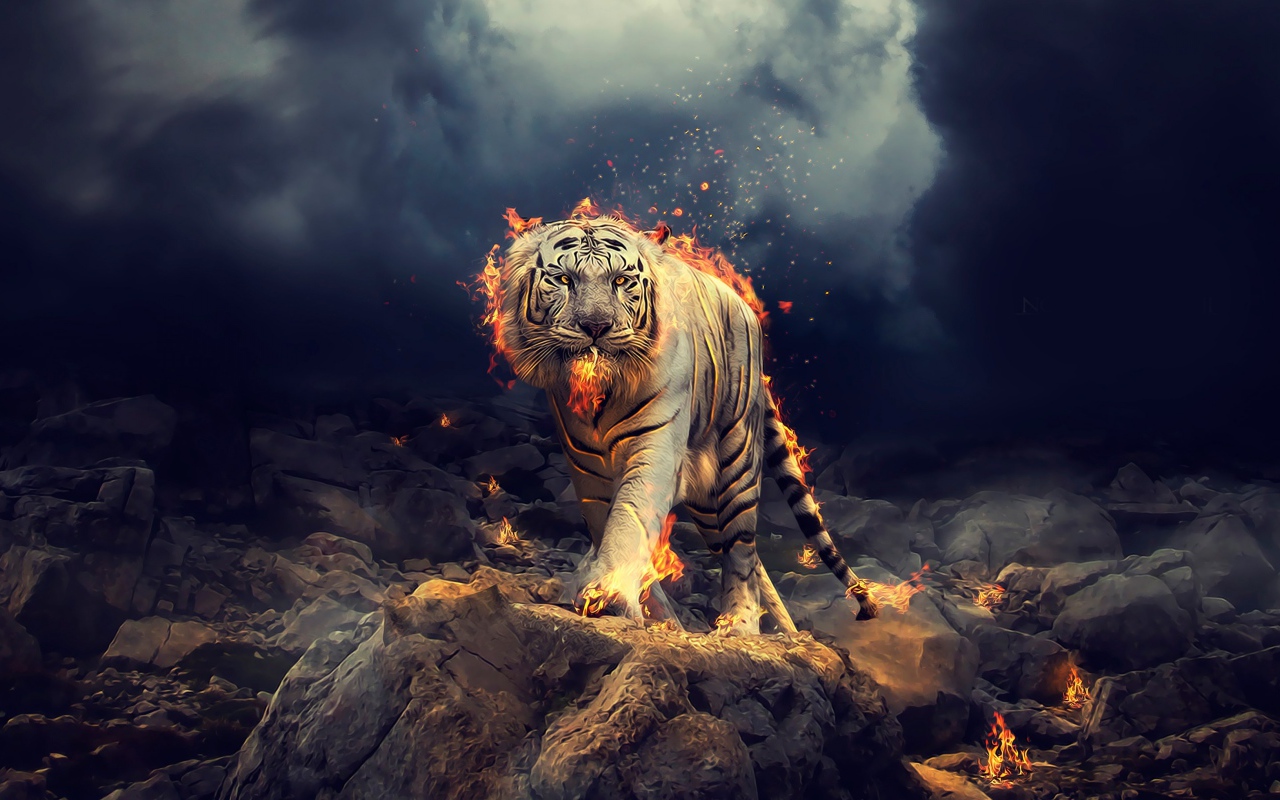 Огненный тигр идет по камням