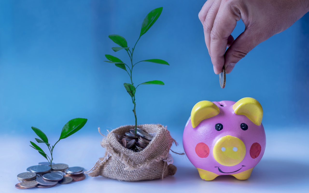 Pig piggy bank and a pouch of coins with a money tree on a blue background
