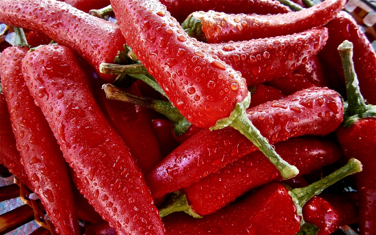 Красный перец чили в каплях воды крупным планом