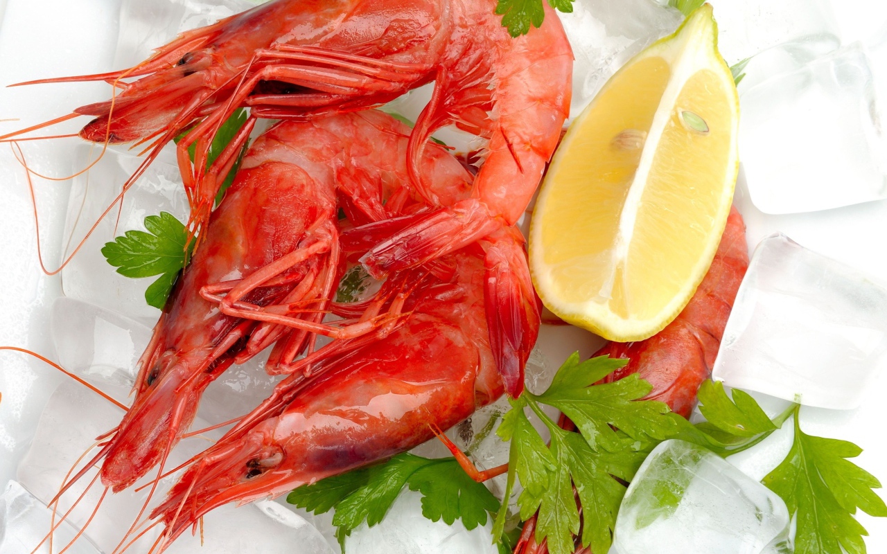 Вареные креветки с лимоном и кусочками льда