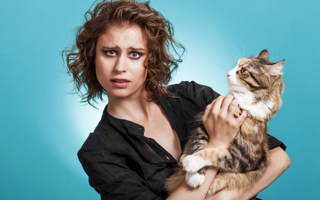 Молодая девушка шатенка с большим котом  на голубом фоне