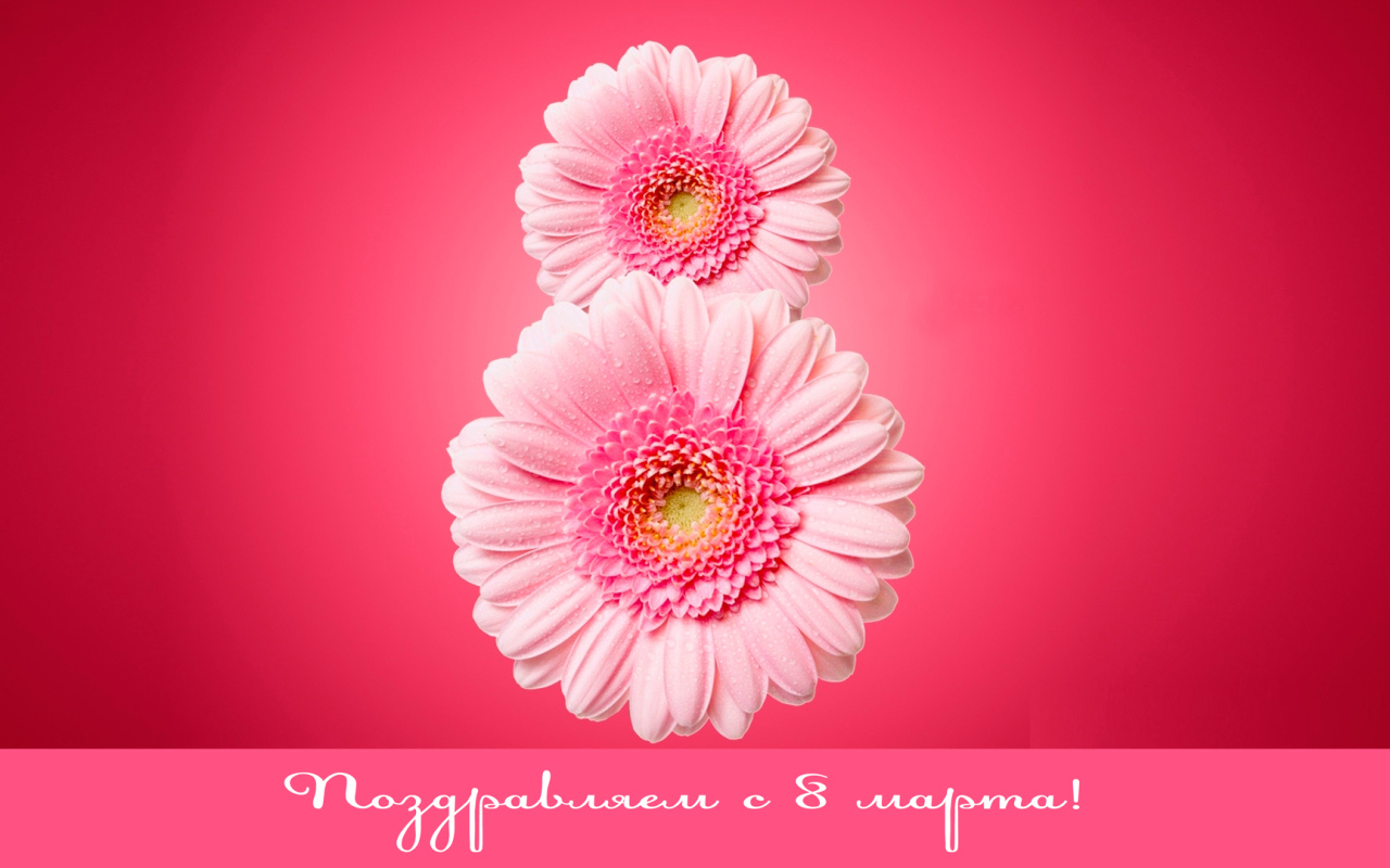 Восьмерка из гербер на 8 Марта