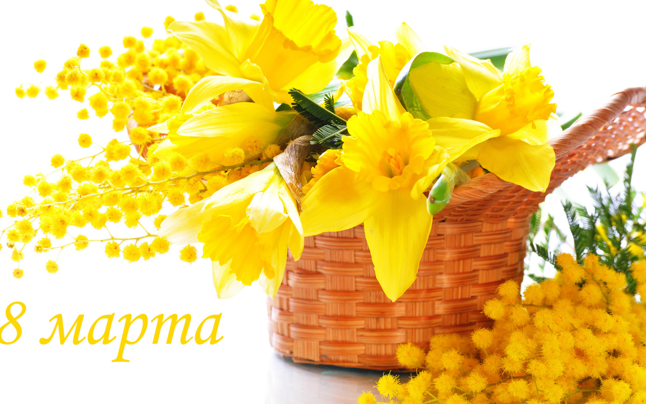 https://www.zastavki.com/pictures/1280x800/2017Holidays___International_Womens_Day_Yellow_daffodils_and_mimosa_on_March_8_111719_12.jpg