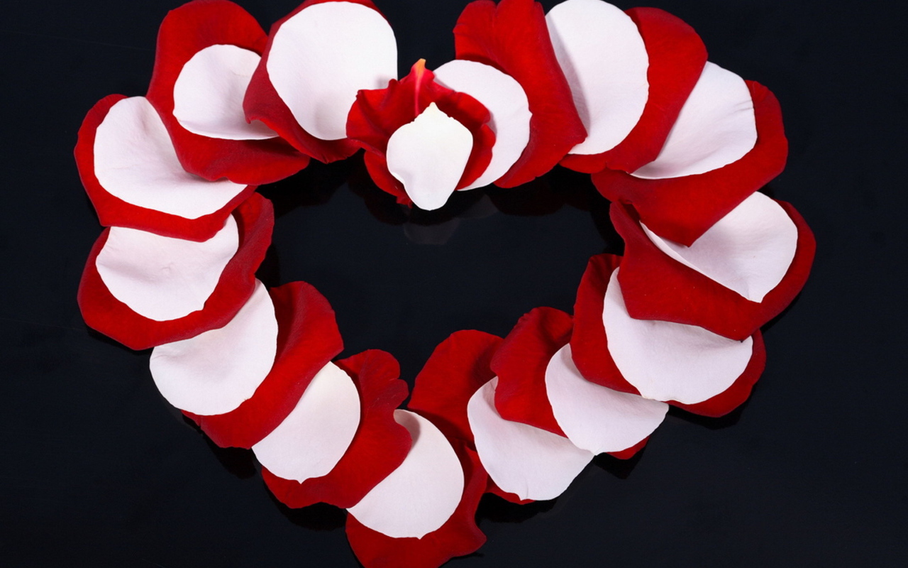 Сердце из лепестков розы 