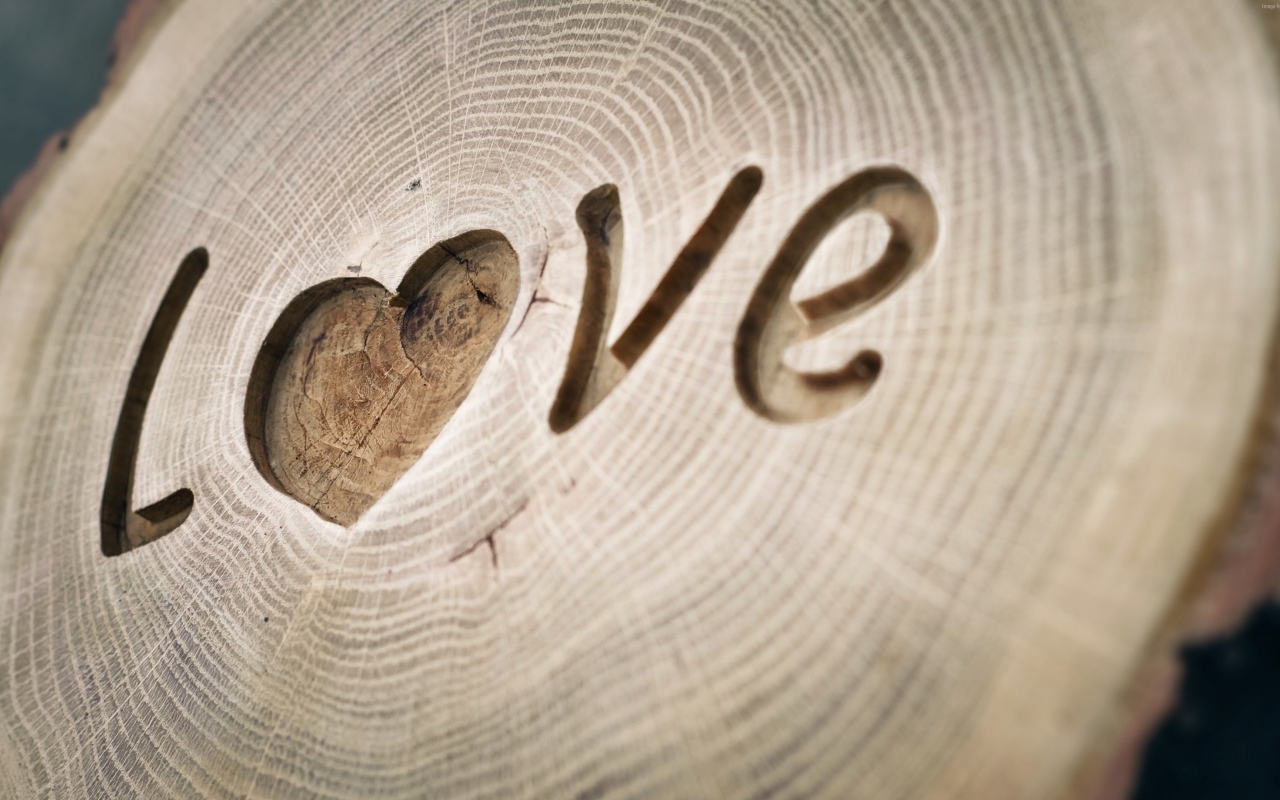 Надпись LOVE вырезана на дереве