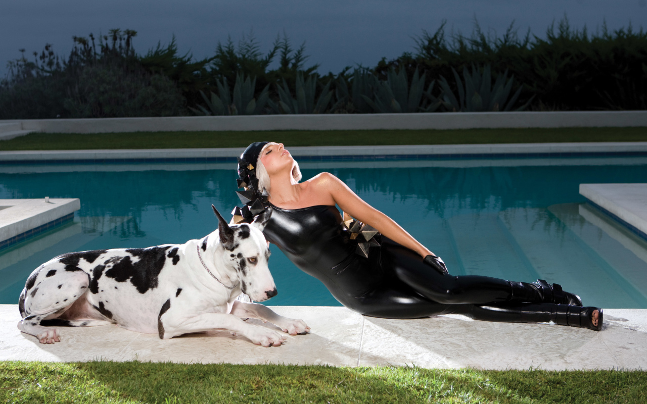 Американская певица Леди Гага с собакой у бассейна 