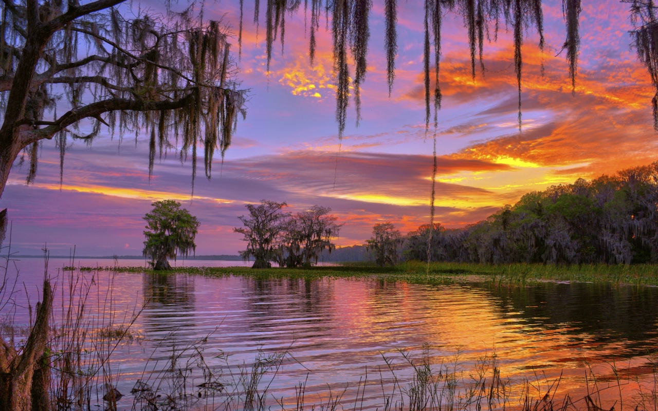 Красивое небо на закате над лесным озером