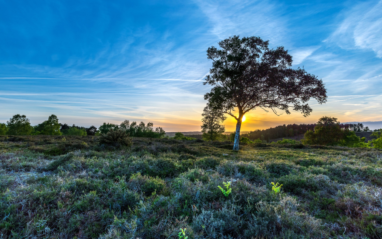 Рассвет солнца в красивом голубом небе над полем