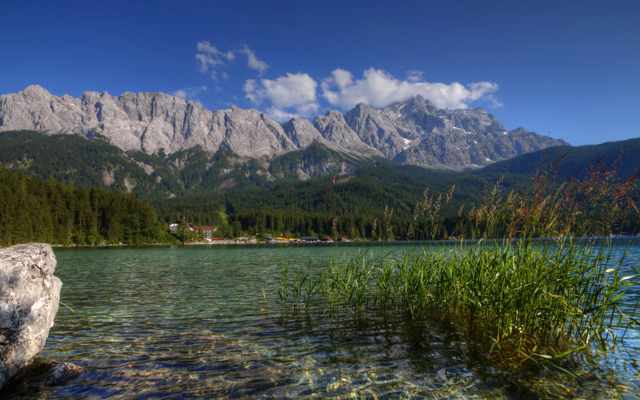 Зеленый лес у горного озера, Германия