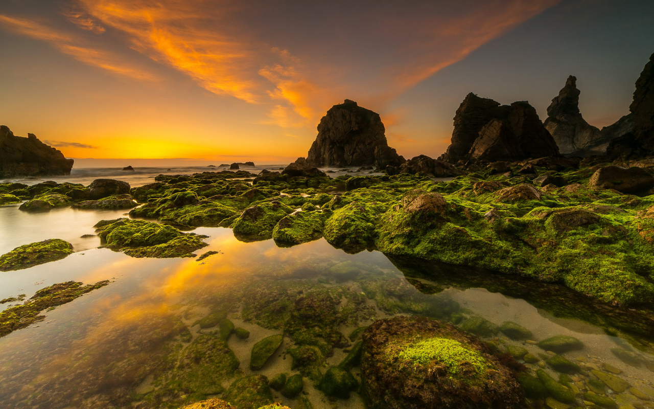 Покрытые мхом камни на морском берегу под красивым небом