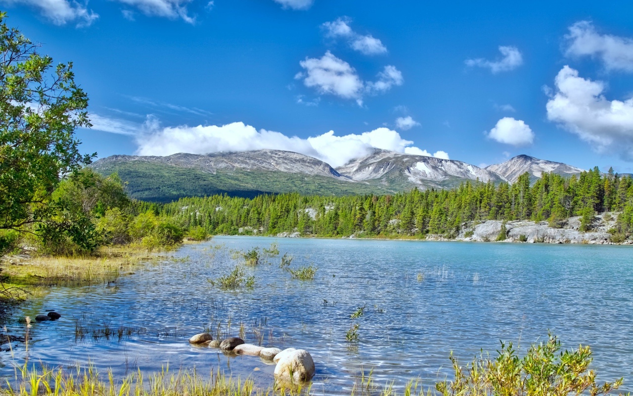 Летний пейзаж природы Аляски 