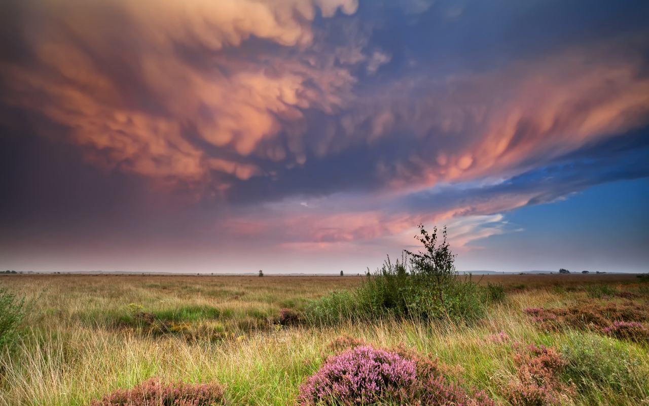 Красивые низкие облака в небе над полем