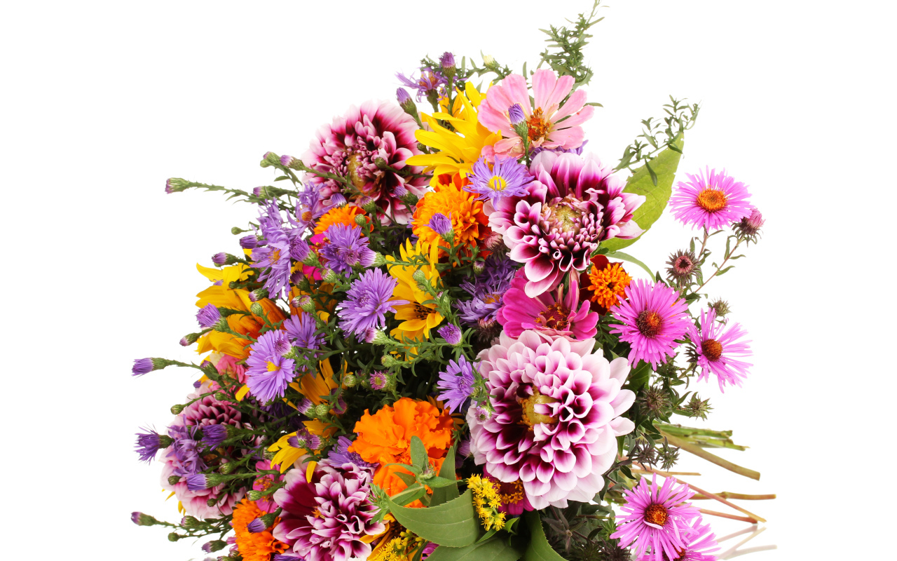 Красивый большой букет осенних цветов на белом фоне
