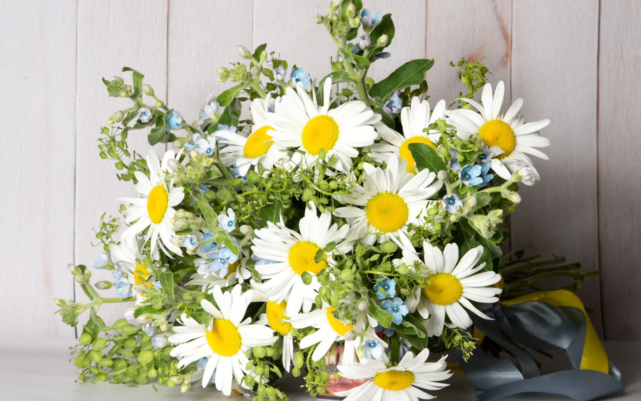 Букет полевых ромашек перевязанный лентой