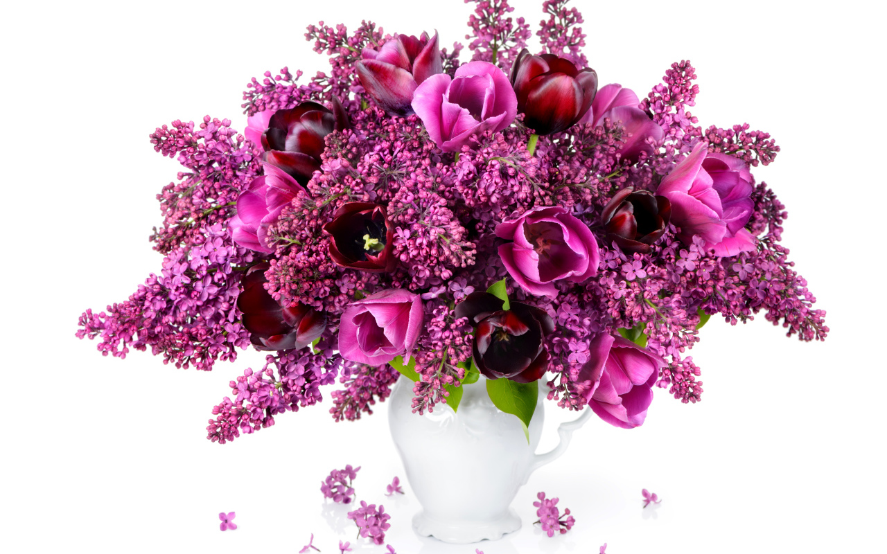 Букет сирени с тюльпанами в белой вазе на белом фоне