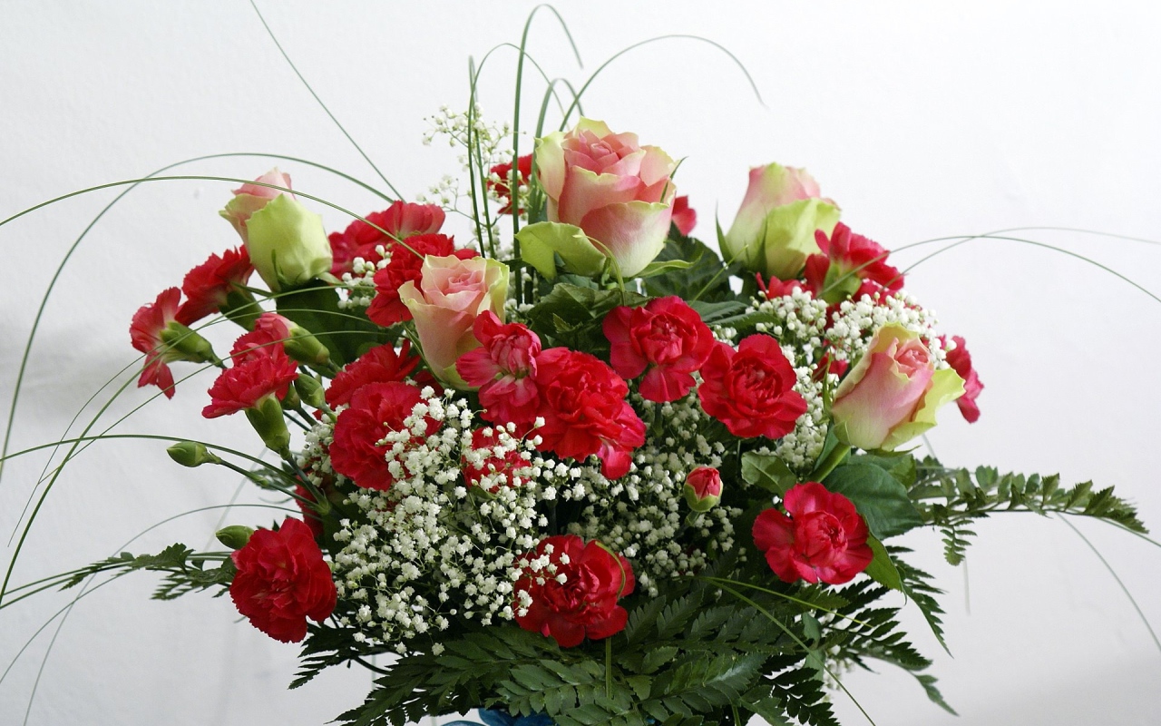 Букет роз с гвоздиками и зеленью на белом фоне