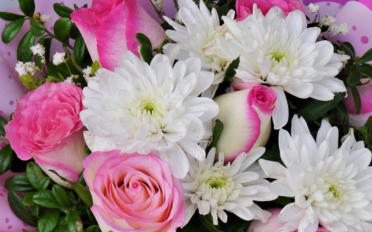 Букет белых хризантем с розовыми розами