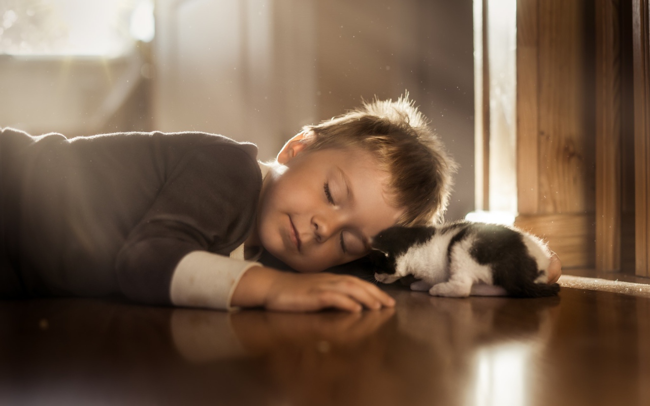 Спящий маленький мальчик и маленький котенок