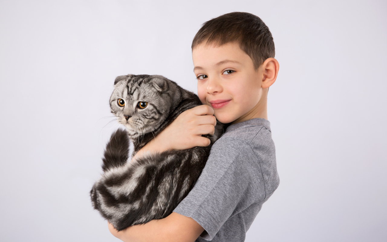 Маленький мальчик с большим котом на сером фоне