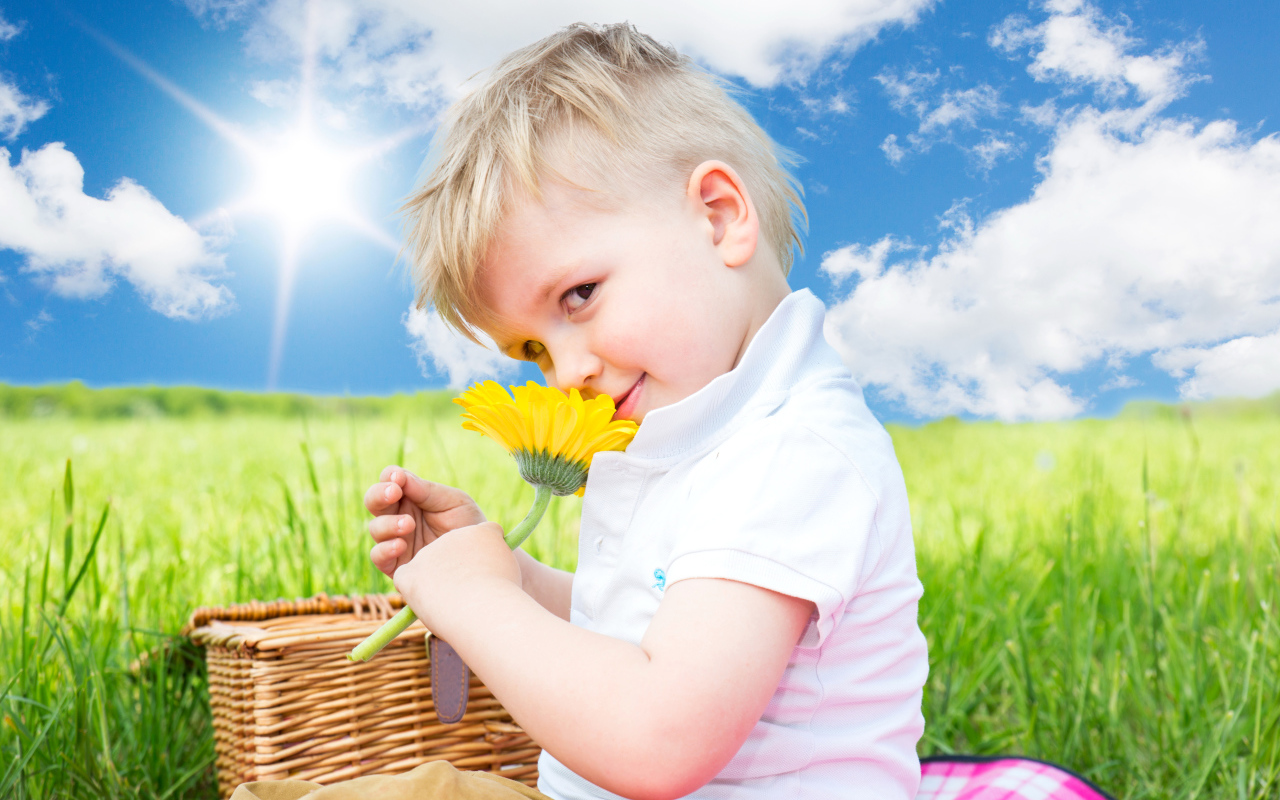 Маленький мальчик с цветком герберы на фоне голубого неба