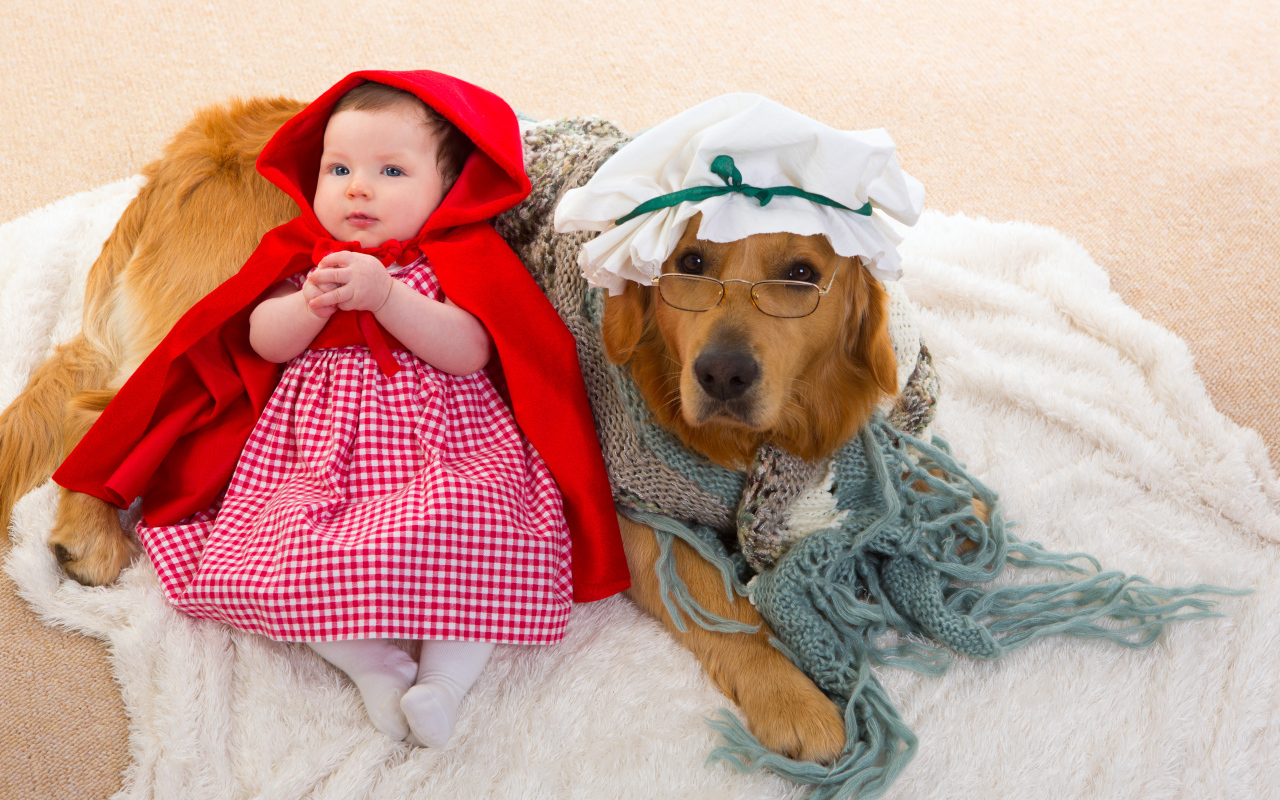 Маленькая девочка в костюме красной шапочки с большой собакой