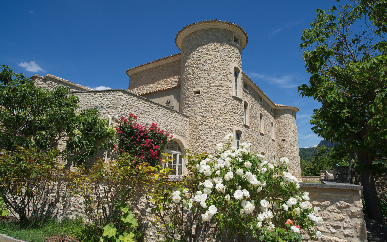 Цветущие кусты роз у стен  замка Murs. Франция