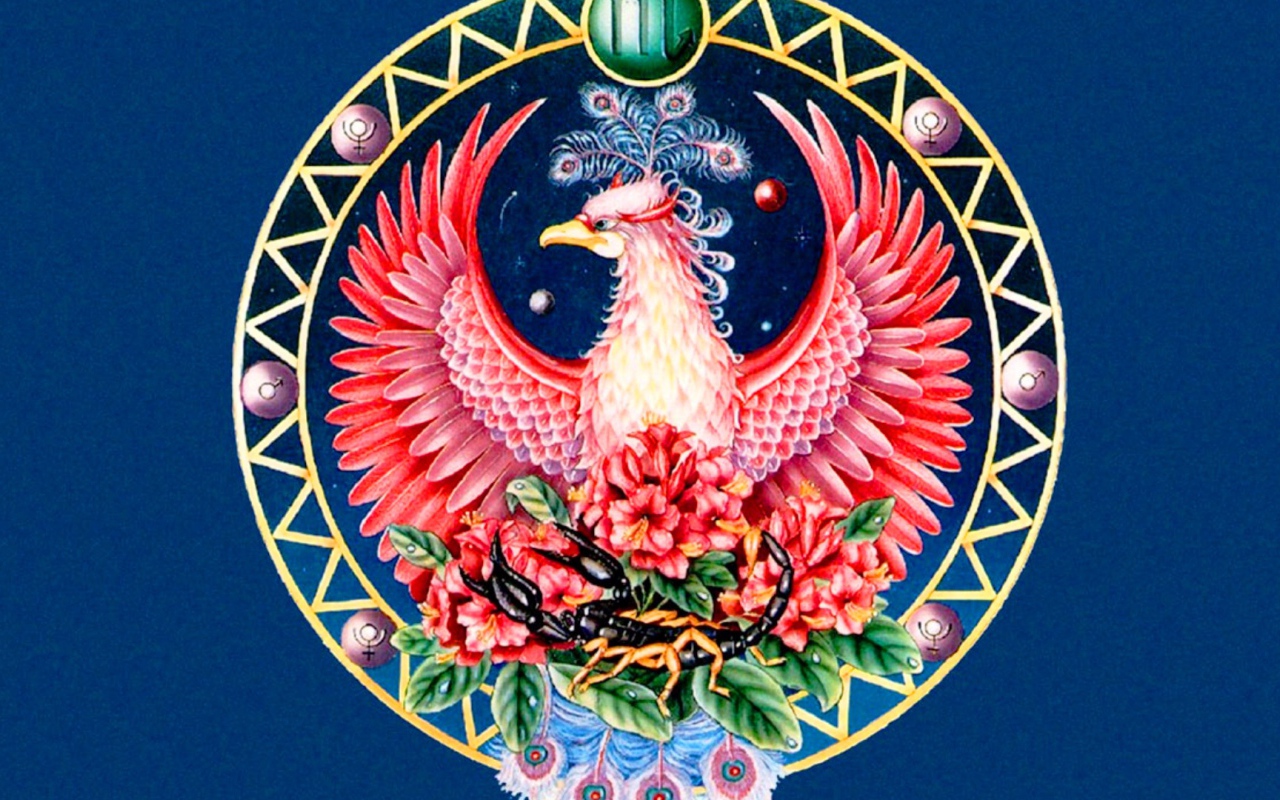 Знак зодиака Скорпион рисунок 