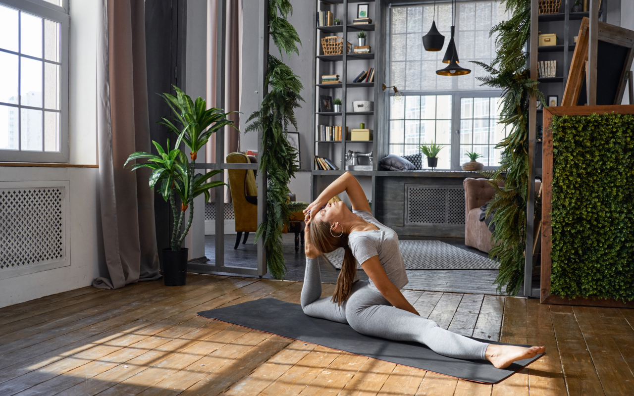 Красивая спортивная девушка шатенка занимается фитнесом