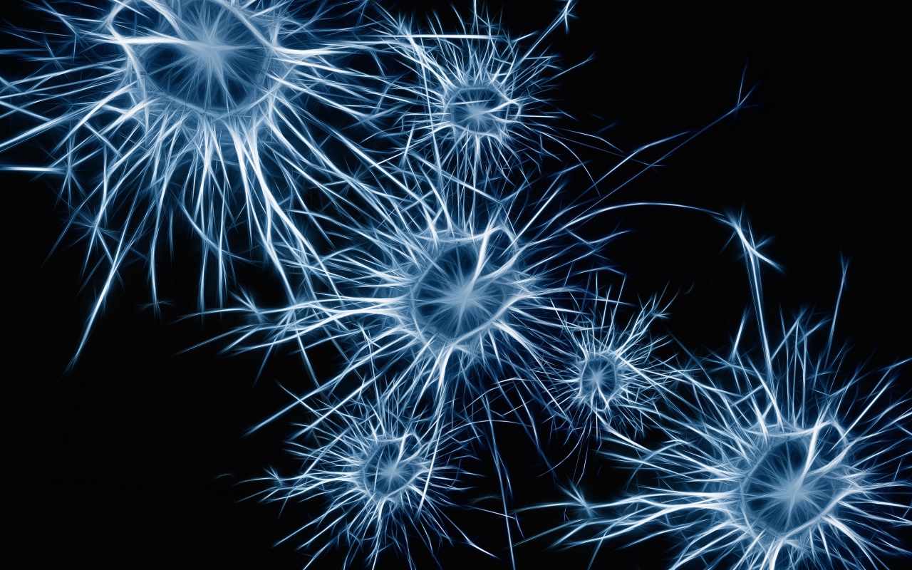 Neurons cells on a blue background