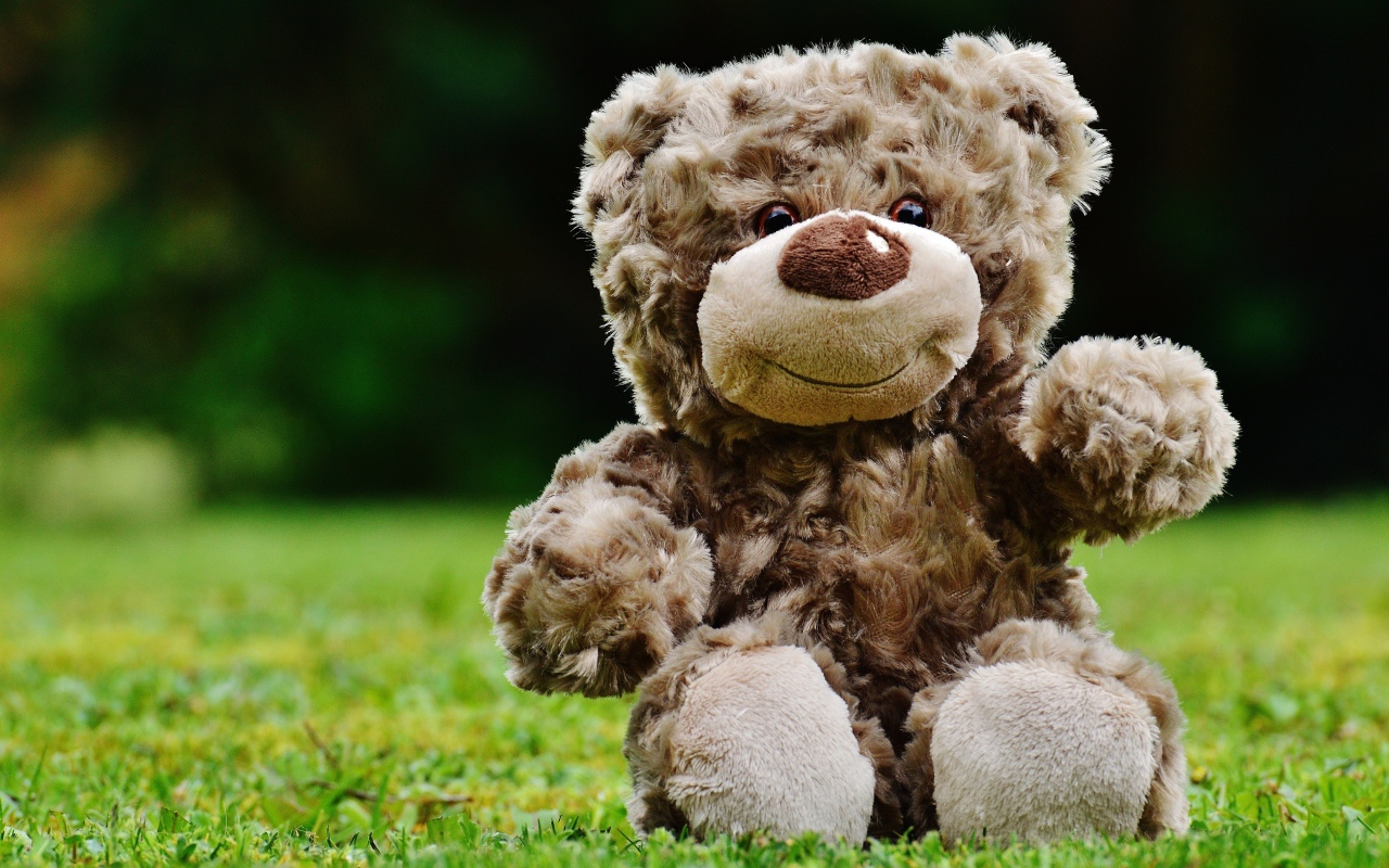 Милый плюшевый мишка сидит на зеленой траве