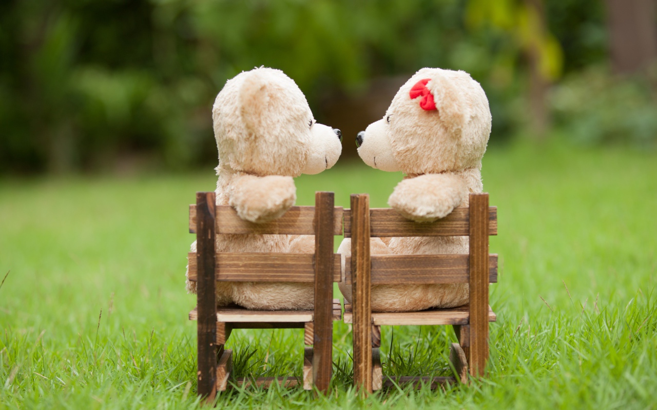 Два плюшевых мишки на деревянных креслах на зеленой траве