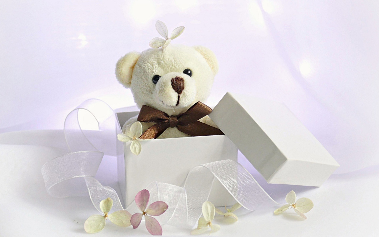 Белый плюшевый медведь в подарочной коробке