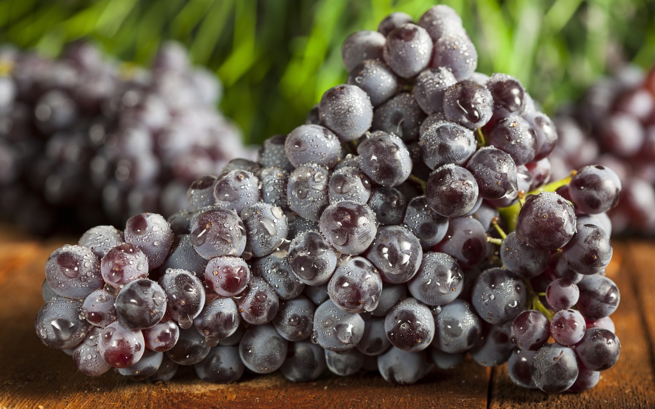Большая гроздь синего винограда в каплях воды