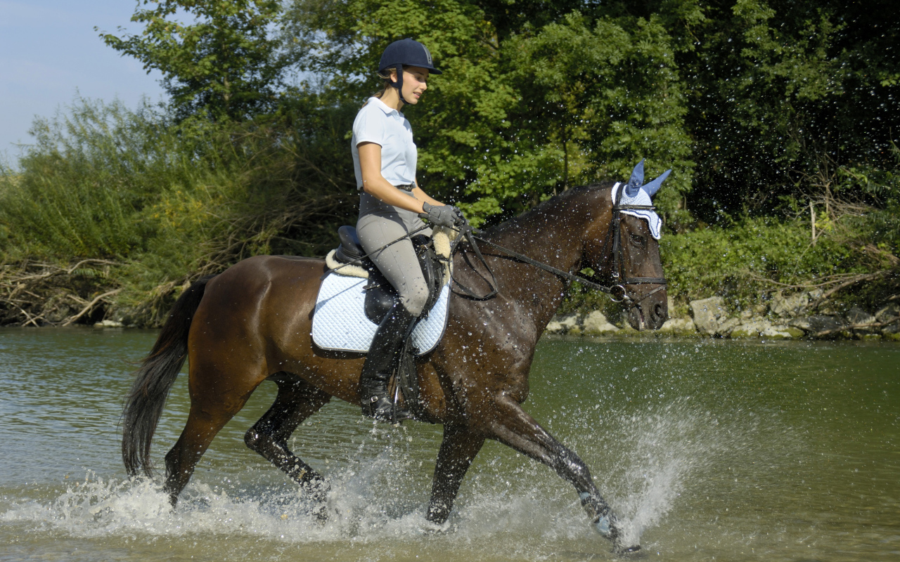 Молодая девушка на лошади скачет по воде