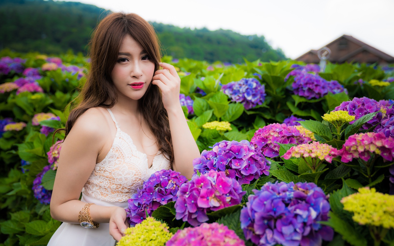 Красивая девушка азиатка с цветами гортензии  