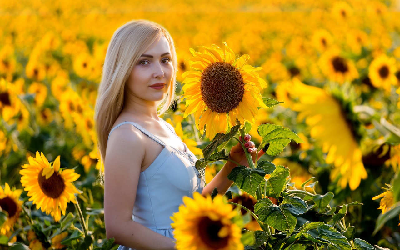 Красивая блондинка в цветущих подсолнухах 