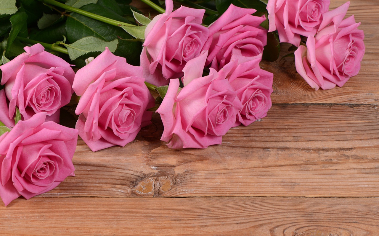 Bouquet of beautiful pink roses on a wooden background, a gift on March 8